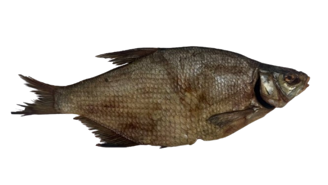 Plătică zvântată 2 kg