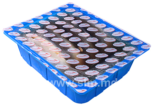 Hering de atlantic slab sărat 4 kg * mărunt
