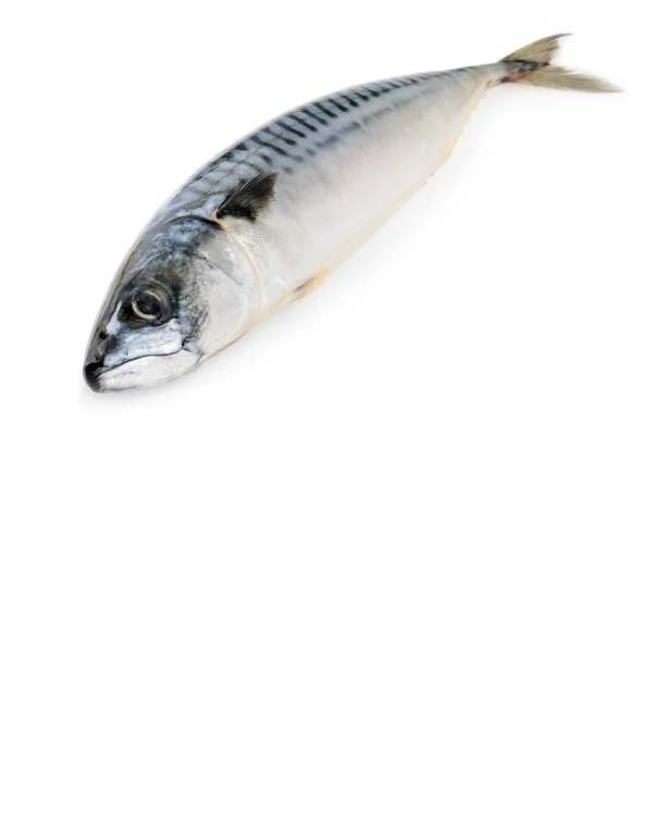 Macrou cu cap congelat 400/600g 