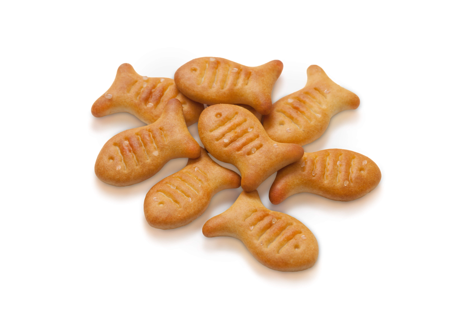 BISCUIT CHOCOLATE Crackers "Funny Fishes" 5 kg