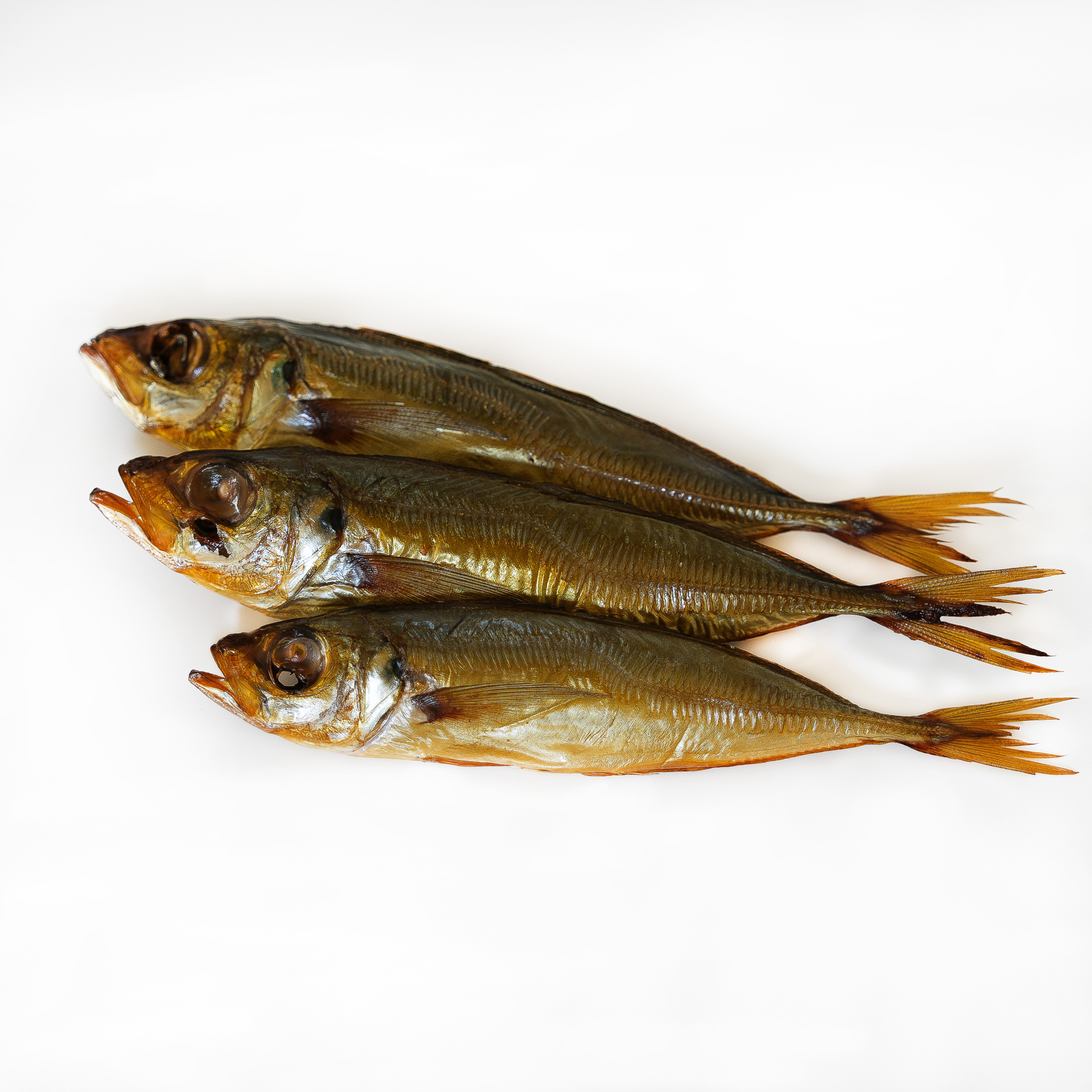 Stavrida afumată la rece 3 kg