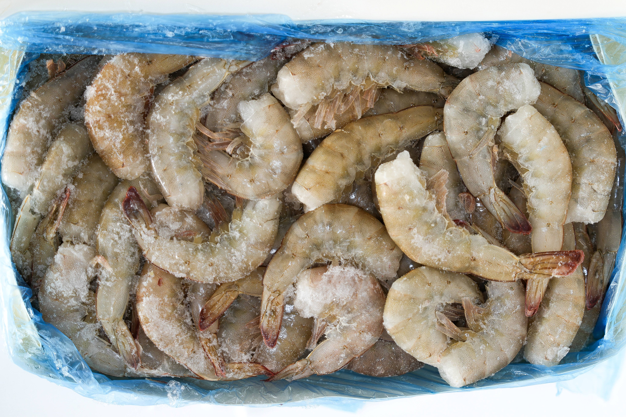 Creveți cu carapace, fără cap, 26/30 congelati 2 kg