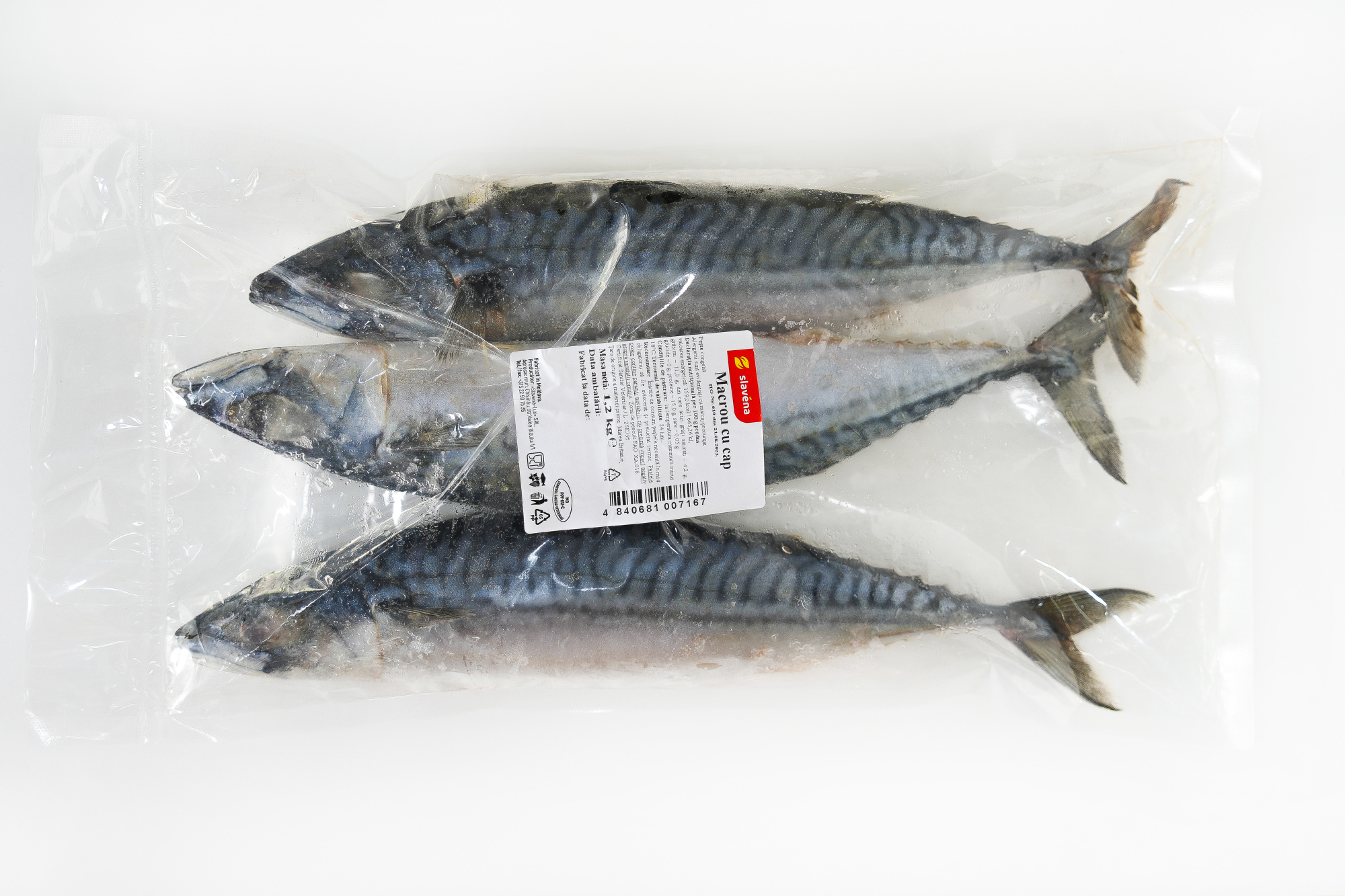 Macrou cu cap congelat 1,2 kg