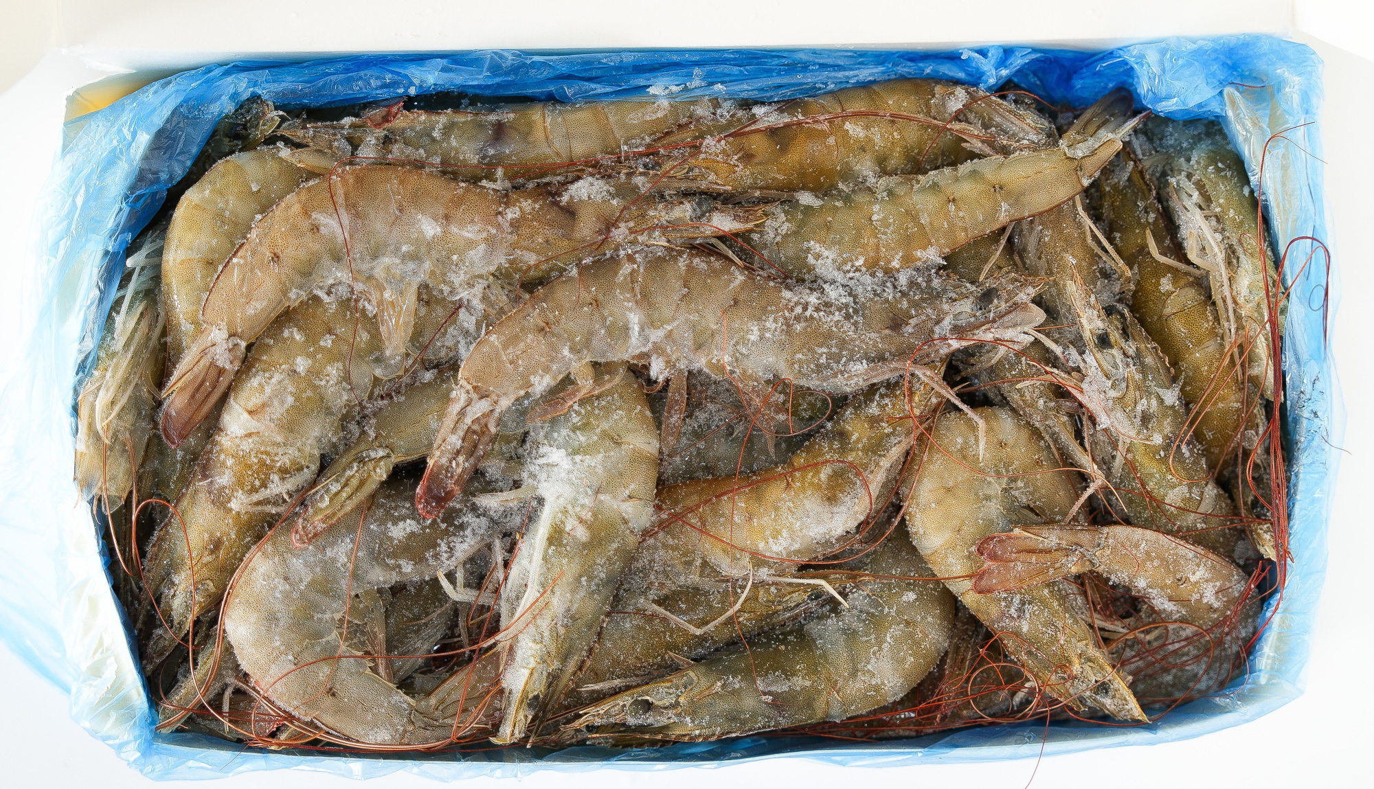 CEPROMAR Creveti c/c cu carapace 20/30 congelati 2 kg