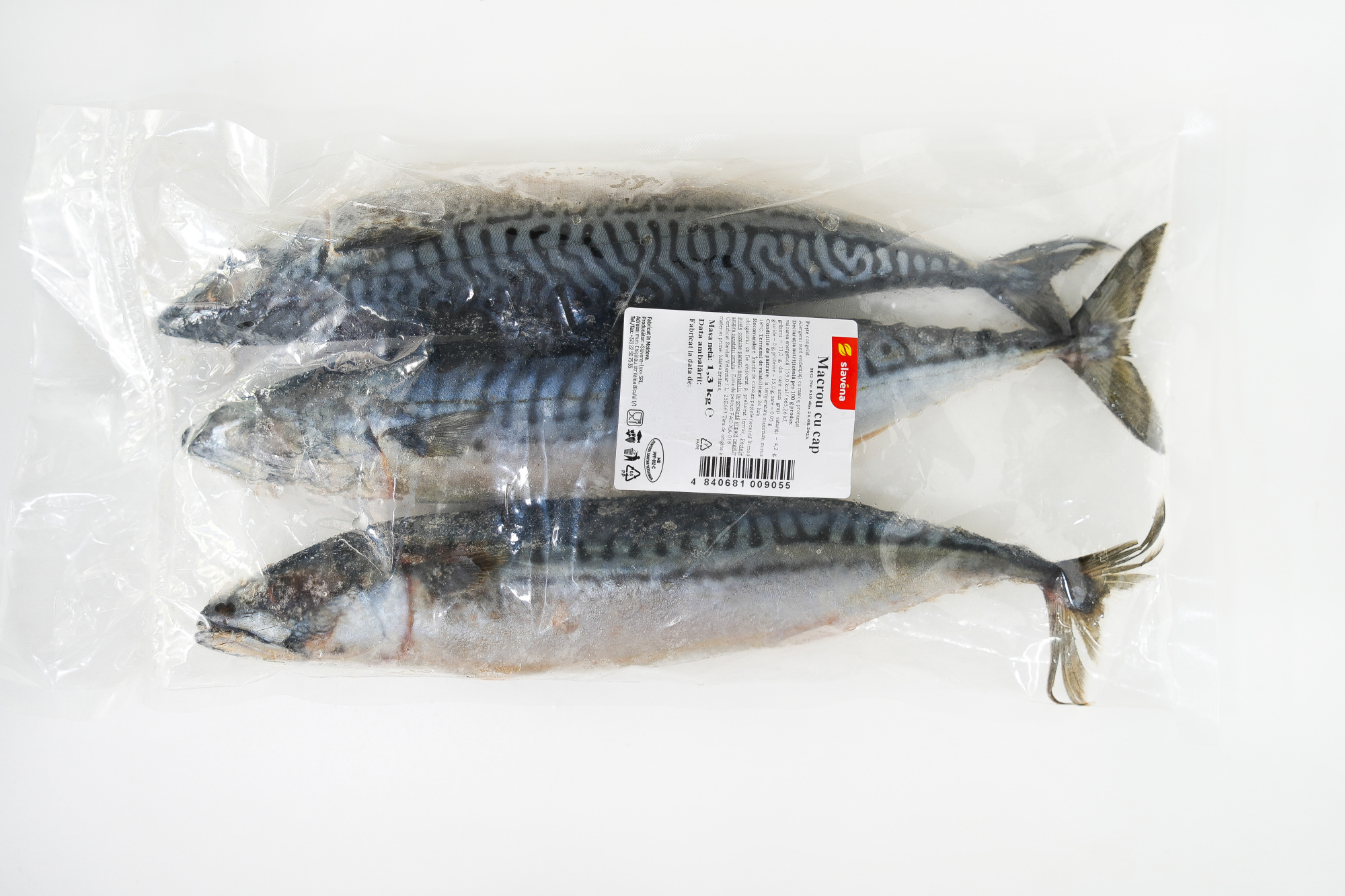 Macrou cu cap congelat 1,3 kg